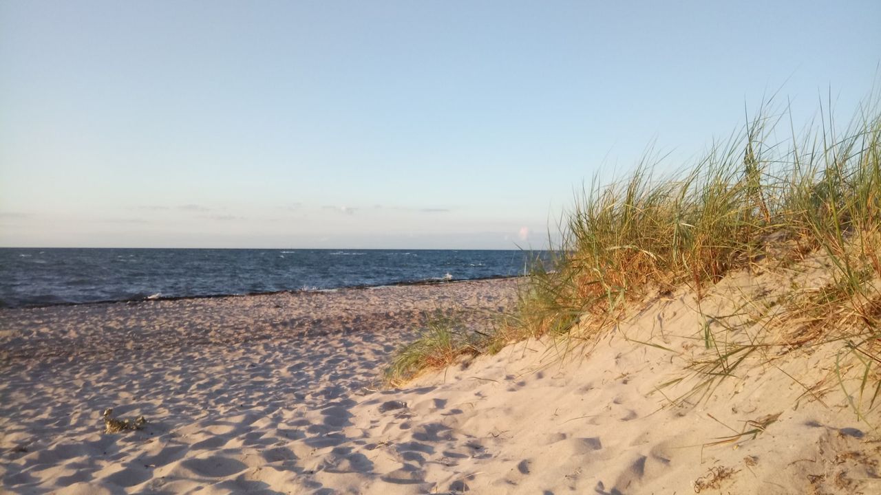 AreaSummer5KM AreaSummer5KM